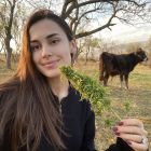 Лиза, 8 495 420-01-11 Лиза, рост: 161, вес: 54 — проститутка за деньги