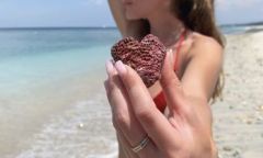 Индивидуалка Маша Тел. +7 916 303-26-64